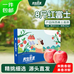 LUOCHUAN APPLE 洛川苹果 陕西红富士3.75kg礼盒装一级大果单果210g以上生鲜时令水果