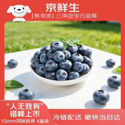 京鲜生 云南蓝莓 巨无霸22mm+ 4盒礼盒装 约125g/盒 新鲜水果礼盒