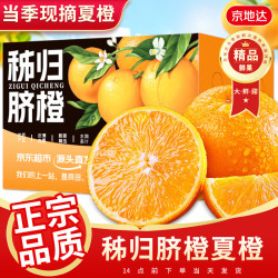 京地达 橙子赣南脐橙江西赣州脐橙  净含量9斤单果75mm源头直发 9斤单果75mm+|黄金酸甜比