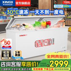星星 冰柜大容量全冷冻家用大冷柜卧式单温 700升 商用冰柜700R