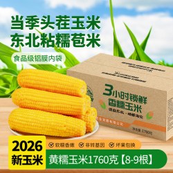 刘老杆 黑龙江黄糯玉米 1760g/箱