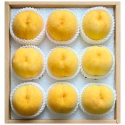 硕醴纪 山东蒙阴黄桃 5斤装 精选单果2-3两