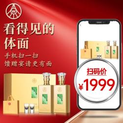 五粮液 岁月鎏金  商务礼赠 高端宴请 52%vol 500mL 2瓶 礼盒装