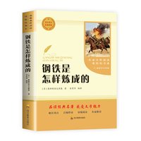 钢铁是怎样炼成的 奥斯特洛夫斯基