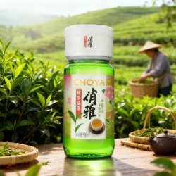 CHOYA 蝶矢一年陈优质本格梅酒 650ml