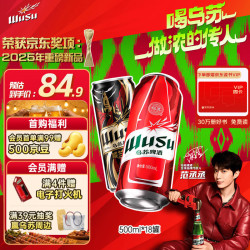 乌苏啤酒 双口味混合 啤酒套装   500mL 18罐 整箱装