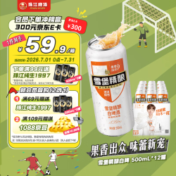 珠江啤酒 比利时风味 白啤酒  听装 500ml