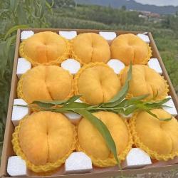 特大果 山东蒙阴 黄金蟠桃 2.25斤装 4-7个