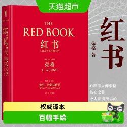 红书心理学大师荣格经典著作周党伟译理解心理学不得不读的一本书