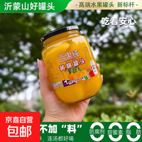 京喜加 山东沂蒙黄桃桔子什锦罐头罐头水果罐头童年零食大瓶装即食510g 黄桃罐头12罐
