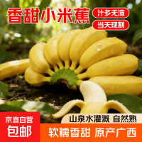 京喜加 苹果蕉带箱2斤净重1.7-1.8斤