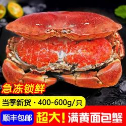 百鲜洽 熟冻面包蟹 400g-600g/2只