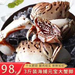 航海猫 东山岛海捕面包蟹特大蟹钳 冷冻现拆元宝大蟹脚 馒头蟹脚海鲜水产 面包蟹钳 1500g