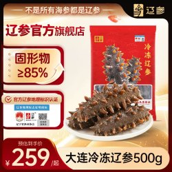 辽参 冷冻辽参 9-12只 500g