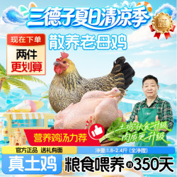 三德子好甄选 好鸡2号(母）壮年老母鸡高山散养350天 净重0.9-1.2kg