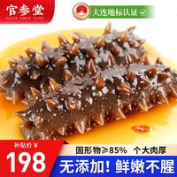 官参堂 大连即食海参 500g 固形物85%以上 7-10只 辽刺参年货简装