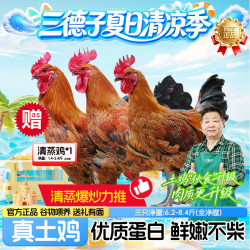 三德子好甄选 散养 土鸡  6.2斤