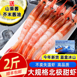 海宏盈 俄罗斯北极虾冰山蓝盒北极甜虾刺身即食日料食材北极虾海鲜生鲜 13-16cm 26年3-4月日期冰山蓝盒 1000g(净重)