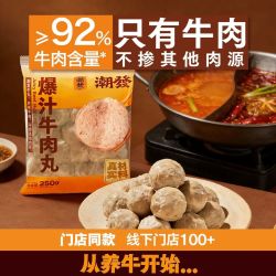 潮发 牛肉丸潮汕手打火锅食材关东煮丸子丸料空气炸锅生鲜麻辣烫250g