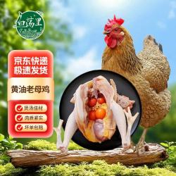 白荡里 黄油老母鸡2~2.2斤*1只  走地鸡月子鸡营养滋补食材 源头直发