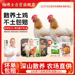 杨博士 皖南散养老母鸡 单只1.6斤及以上*2只 土鸡整鸡保留鸡胗源头直发