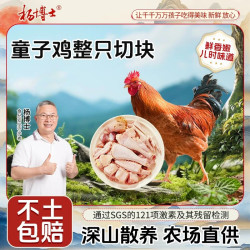 杨博士 童子鸡安徽皖南散养土鸡新鲜现杀走地鸡 小嫩鸡整鸡切块1.2斤 （原切）1只童子鸡（600g/盒）