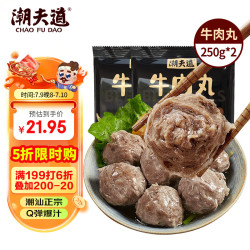 潮夫道 牛肉丸250g*2潮汕手打火锅食材关东煮丸子丸料空气炸锅生鲜麻辣烫