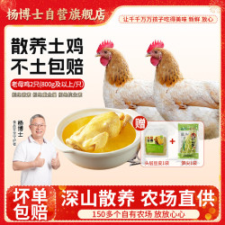 杨博士 宣城老母鸡2只整鸡单只净重800g及以上源头直发包 邮