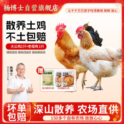 杨博士 皖南散养土鸡2只  净重4.2斤 整鸡(大公鸡+老母鸡)含鸡胗源头直发