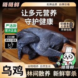 哥哥鲜 农家散养乌鸡 1800g