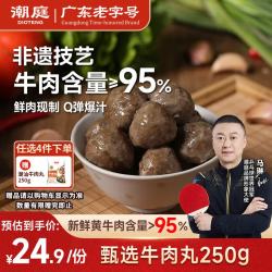 潮庭 90%牛肉 牛肉丸  250g臻选牛肉丸