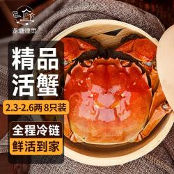 湖塘煙雨 大闸蟹 公蟹250g 母蟹175g 8只 礼盒装