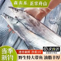 森农乐 舟山带鱼特大号整条鲜活冷冻东海海鲜生鲜小眼海钓油带鱼刀鱼整箱 6-8两/条