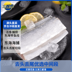 三都港 冷冻东海宽带鱼段600g 海鲜水产 深海鱼 刀鱼 生鲜鱼类 烧烤食材