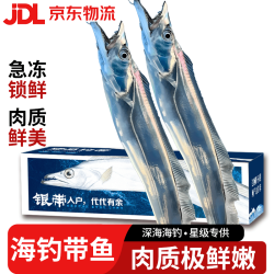 滩礼家 带鱼 特级带鱼特大号整条鲜带鱼海钓刀鱼整箱年货海鲜礼盒 5斤装（1-1.5斤/条）净重