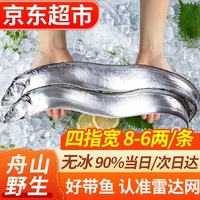 弹指鲜生 舟山小眼带鱼  雷达网海捕油带鱼 新鲜冷冻整条带鱼 整条带鱼净重4斤 共6-8条