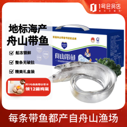 鲜到鲜得 舟山带鱼礼盒5斤(11-13条)带鱼整条装 深海鱼 海鲜礼盒 源头直发