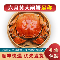 觅味鲜 六月黄大闸蟹鲜活礼盒装去绳净重礼盒装 六月黄2.5-2.8两10只