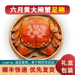 觅味鲜 六月黄大闸蟹鲜活礼盒装去绳净重礼盒装 六月黄2.5-2.8两10只