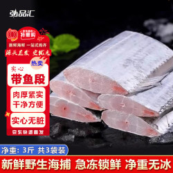 弘品汇 舟山冷冻带鱼段 500g*3袋