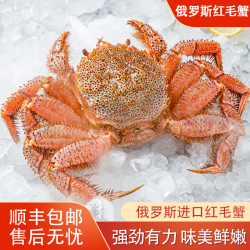 榭巢金选 红毛蟹俄罗斯大毛蟹 鲜活超低温冷冻进口海鲜螃蟹帝王蟹 活冻红毛蟹600-800g/只