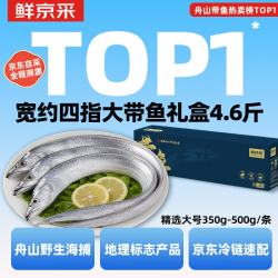 鲜京采 源头直发精选舟山特大带鱼2.3kg 350-500g/条 生鲜鱼类 2.3kg 350-500g