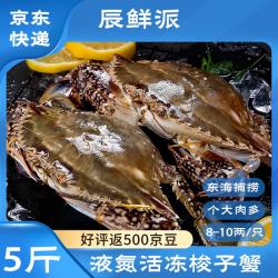 辰鲜派 梭子蟹舟山特大螃蟹5斤梭子蟹8-10两/只 当季新蟹 源头直发