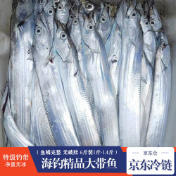 棠鲜生带鱼 精品海钓带鱼 新鲜特大整条带鱼礼盒整箱 海鲜水产生鲜鱼类 6斤礼盒（1斤-1.4斤/条）