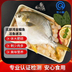 钦小鲜 北部湾深海金鲳鱼 300-400g/条 2条装