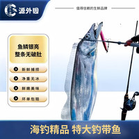 源外园 东海钓带鱼 新鲜船冻特级大钓带鱼整箱大号整条生鲜 鱼类带鱼 3斤无冰带鱼 色泽鲜亮带鱼