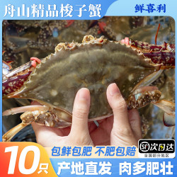 鲜喜利 梭子蟹鲜活野生舟山大螃蟹海鲜新鲜冷冻海蟹水产公蟹飞蟹白蟹顺丰 4-6两/只