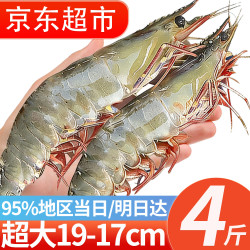 往牧 冻虾 单只15-18cm 4斤