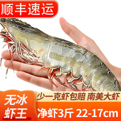往牧 厄瓜多尔大虾白虾 22cm-17cm 3斤