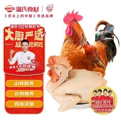 温氏 供港农养大公鸡1.8kg 冷冻高品质林地大公鸡走地鸡 鸡肉